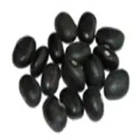 Black Bean